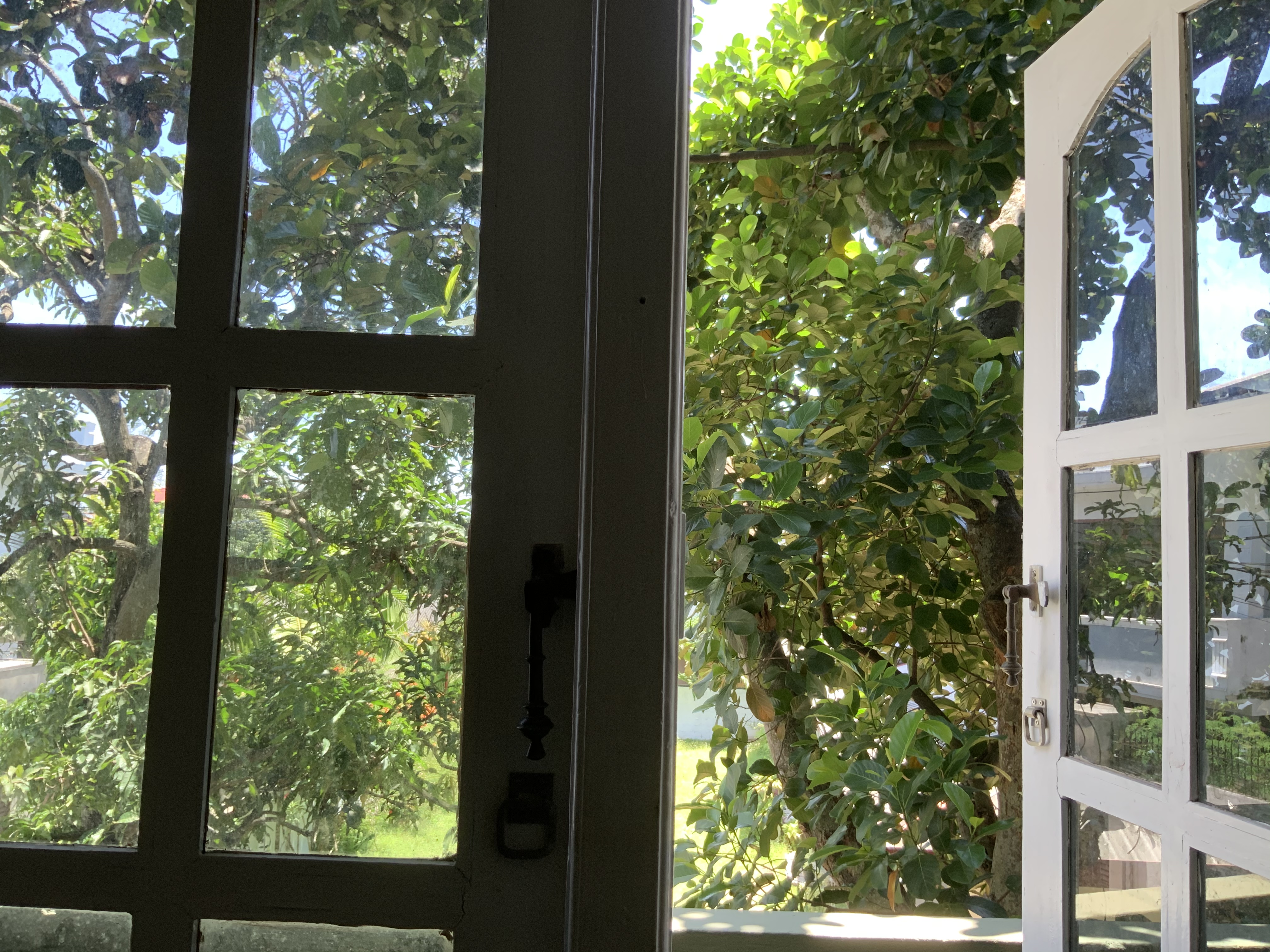 181a1d05-2253-e7a6-e315-a60890665263