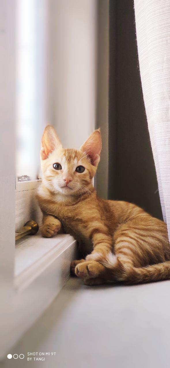 332bd0cb-ec58-d5b5-a08b-bfaf55042598