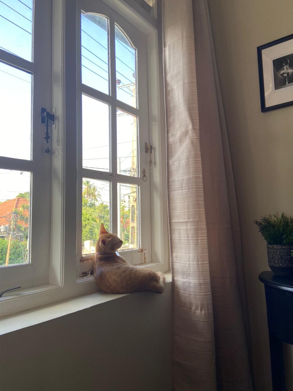 445783fc-6d50-6dcd-20a8-b07d5a1727b4